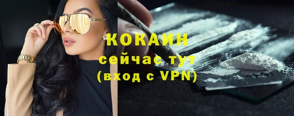 шишки Абдулино