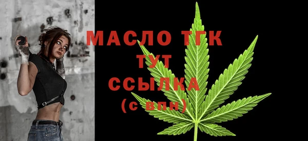 гидра Абаза