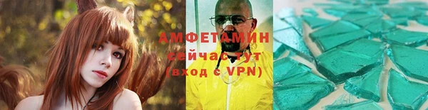 гидра Абаза