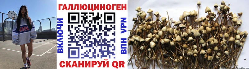 Псилоцибиновые грибы MAGIC MUSHROOMS  купить наркотик  Ильский 